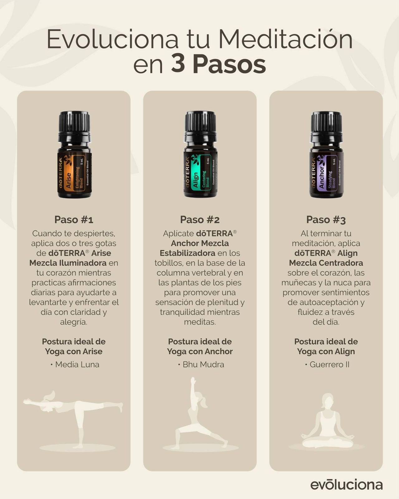 Yoga Collection doTERRA  | Afirma, Eleva, Ancla | disponible con  Kueski Pay