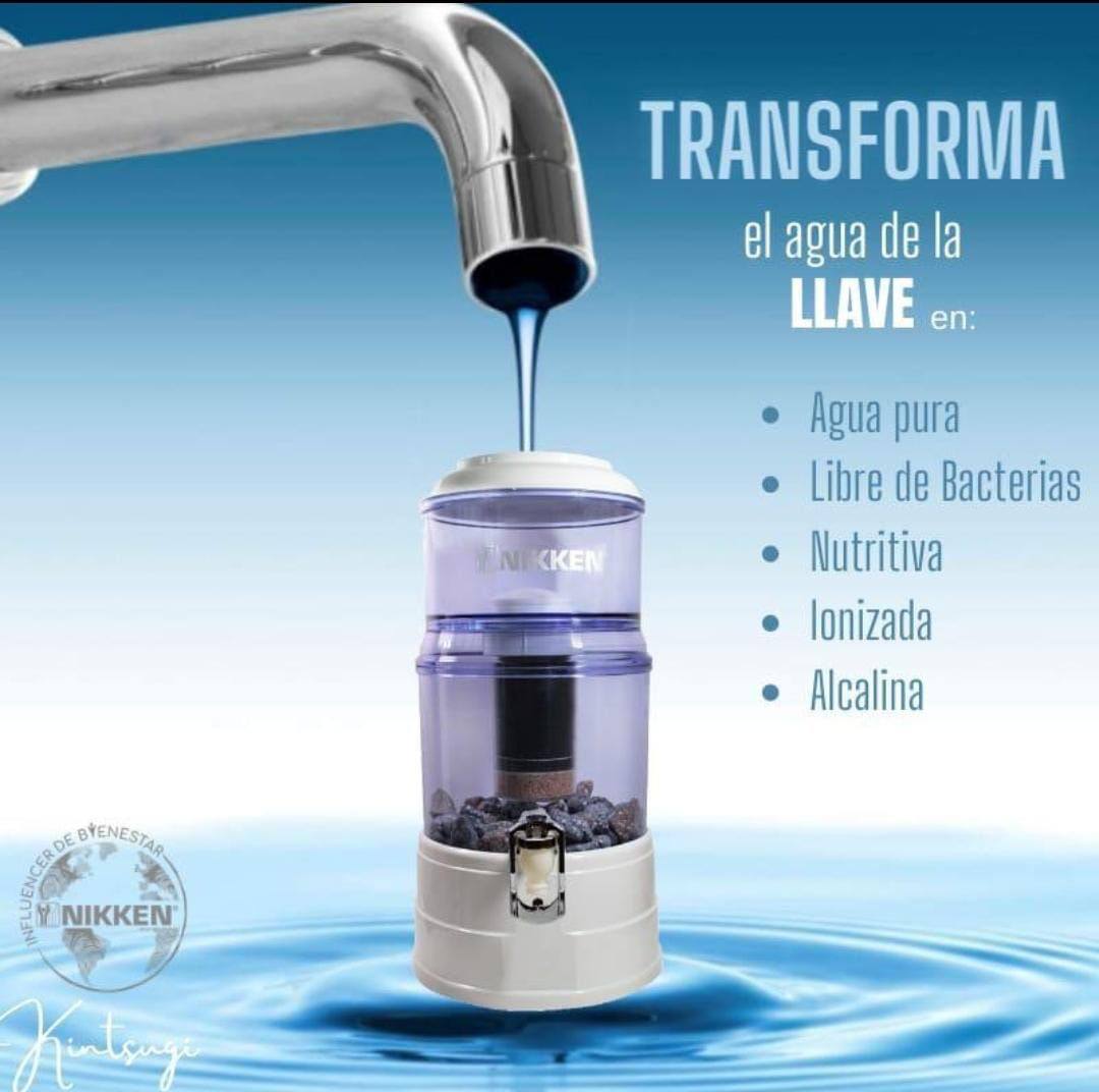 FILTRO Original Nikken  PI Water Gris | Sistema de Purificación de Agua