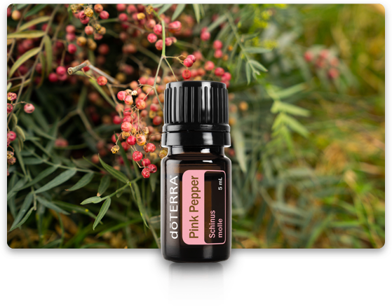 Pimienta Rosa (Pink pepper) doTERRA |  Schinus molle